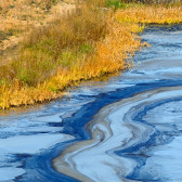 Environment